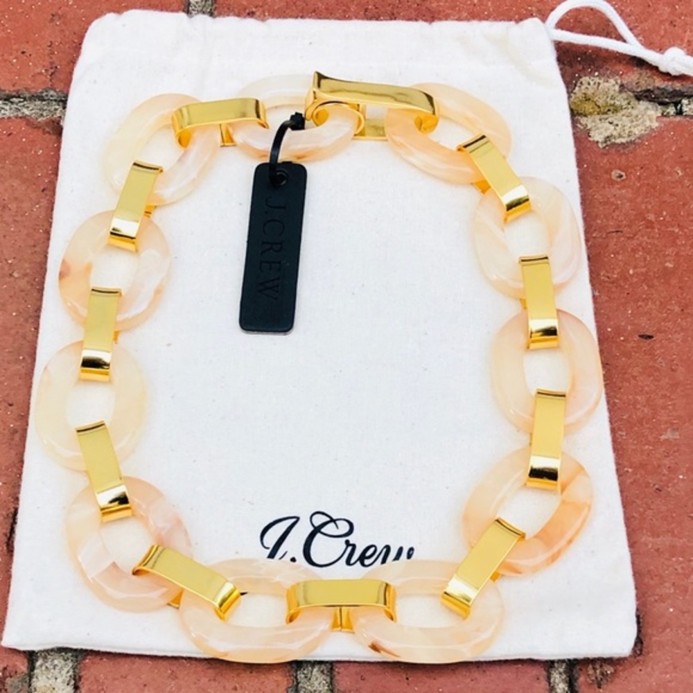 J.Crew Natural Lucite Tortoise Chain Link Necklace